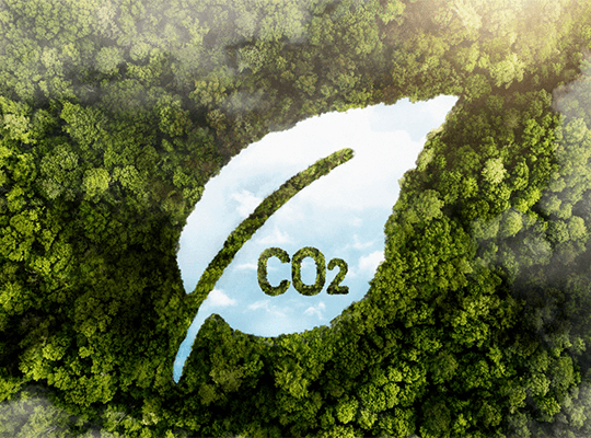 Carbonware